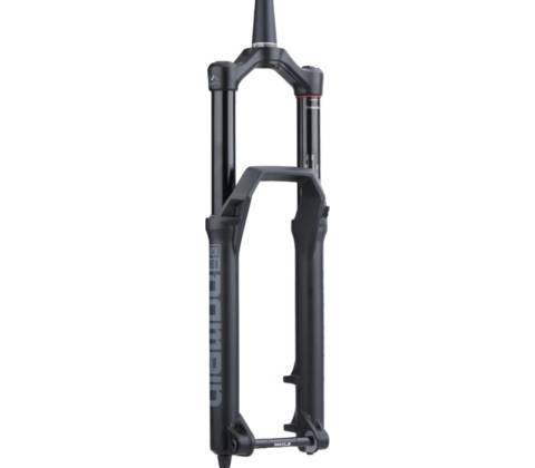 RockShox Domain