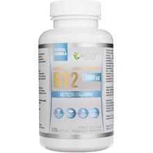 Wish Vitamin B12 1000 mcg + Probiotic 120 kapsúl