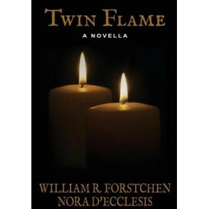 Twin Flame | William R. Forstchen (ISBN: 9781625781604)