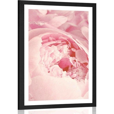 Plakát s paspartou lupínky květu - 30x45 black