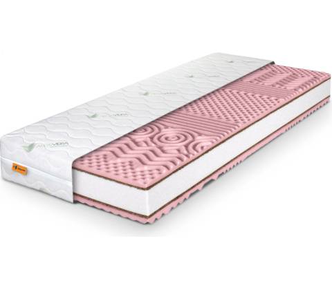 Wilsondo Pinkcoco Plus