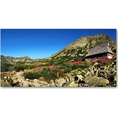 Fotoobraz na skle Bacovina v údolí 100x50 cm
