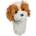 Daphnes headcover Cavapoo