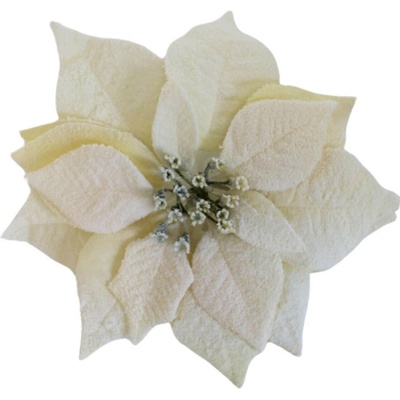 POINSETIA (vianočná ruža) na štipci, osnežená KRÉMOVÁ 22cm