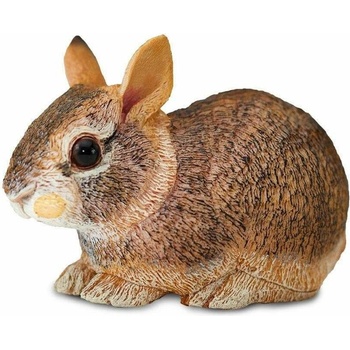 Safari Eastern Cottontail Rabbit Baby