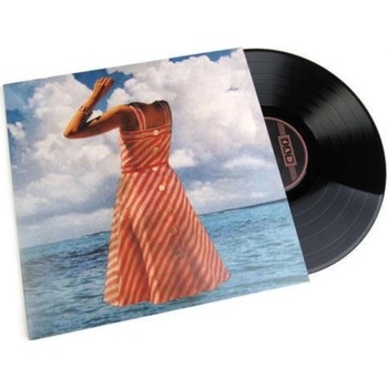 FUTURE ISLANDS: SINGLES LP