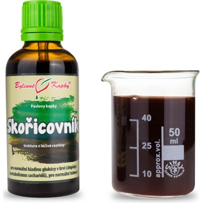 Škoricovník čínsky tinktúra 50 ml
