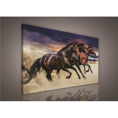 Obraz na plátne, rozmer 100 x 75 cm, kôň, IMPOL TRADE PP496O1