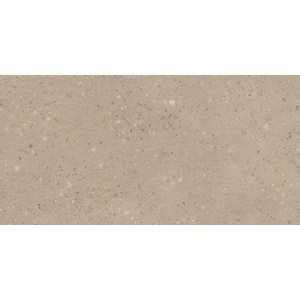 Atlas Concorde Solution Гранитогрес Atlas Concorde Solution Grain Terrazzo Ash 60x120 (HFVQ)