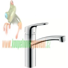 HansGrohe 31806000