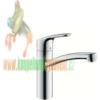 Hansgrohe Focus 31806000