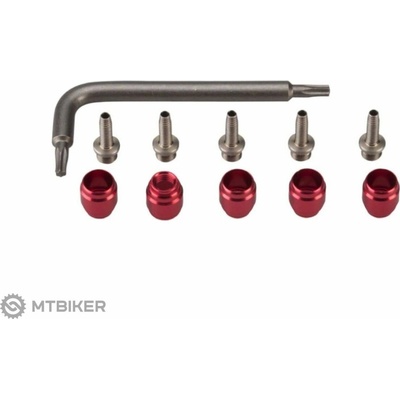 SRAM Stealthmajig oliva s tŕňom, Torx T8