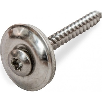 Gutta Nerezový vrut V2A 100 ks stříbrná, 4,5 x 45 mm