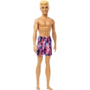 Mattel Barbie Beach Ken 23