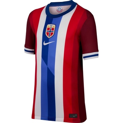Nike Norsko 2024 Y FZ0172 677 vícebarevný