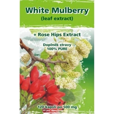 Naturgreen WhiteMulberry + Nature'sHerbs 120 veganských tabliet