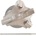 Nástrojecz VB020300002402