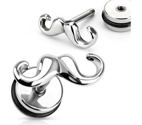 Piercing ucha 66