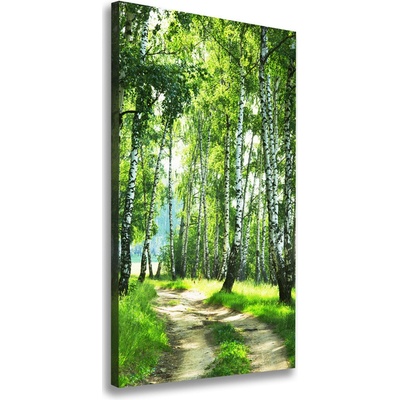 Vertikálny foto obraz canvas Brezový les 50x100 cm