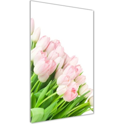 Vertikálny foto obraz sklenený Ružové tulipány 50x100 cm