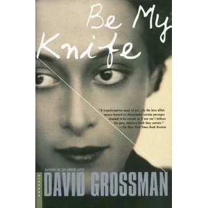 BE MY KNIFE | David Grossman, Vered Almog, Maya Gurantz (ISBN: 9780312421472)