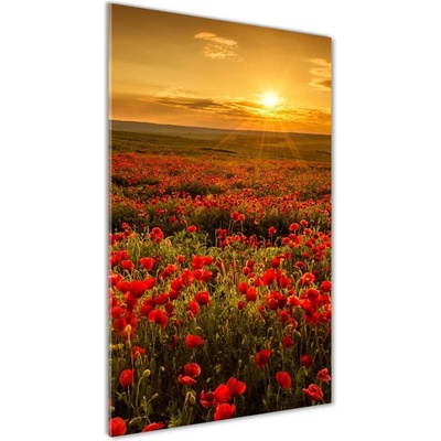 Vertikálny foto obraz sklo tvrdené Pole makov 50x100 cm