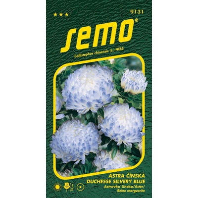 SEMO Astra čínská DUCHESSE SILVERY BLUE 9131