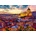 Alipson Puzzle - Puzzle Vatican 1000 - 1 000 piese
