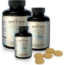 Belcando Fiber 60 tbl 140 g