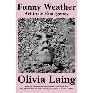 Funny Weather - Art in an Emergency (ISBN: 9780393867398)