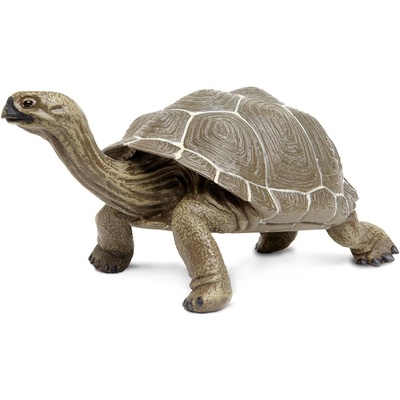 Safari Korytnačka galapážska