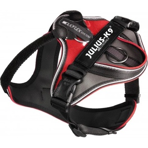 Julius-K9 JULIUS-K9® IDC Longwalk S Нагръдник за кучета 9-15 кг, с обиколка на гърдите 49-66 см, вратна обиколка 38-46 см - цвят червен, Унгария - 19LWH-GR-S