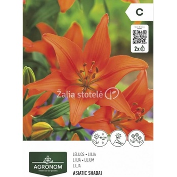 Seklos Лилиум Азиатски Shadei - 2 бр луковица