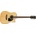 Ibanez PF15ECE-NT