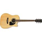 Ibanez PF15ECE-NT
