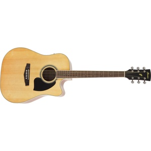 Ibanez PF15ECE-NT