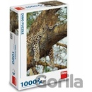 Dino Leopard škvrnitý 1000