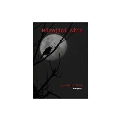 Mizející stín