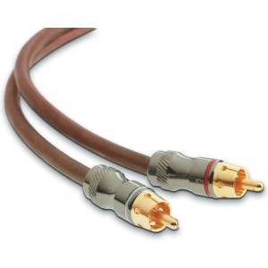 Focal ER 5 (ER5)