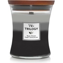 WoodWick Trilogy Warm Woods 275 g