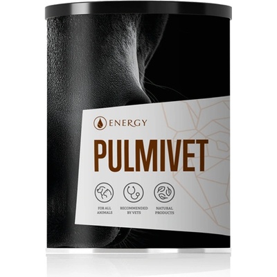 ENERGY Pulmivet 100 g