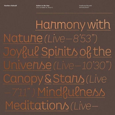 Matthew Halsall - Salute To The Sun (Live At Hallé St. Peter's) (2 LP) (5050580764187)