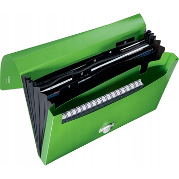 Leitz 46240055 кутия за папки 250 страници Зелен Полипропилен (PP) (46240055) (46240055)