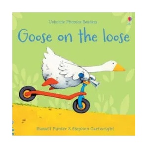 Goose on the loose (ISBN: 9781474970181)