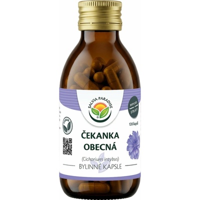 Salvia Paradise Čekanka 120 kapsúl