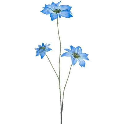 Plamének Clematis Jewl modrý 89 cm