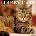 Willow Creek Press Calendars Tabby Cats 2026 12 X 12 Wall Calendar | Willow Creek Press