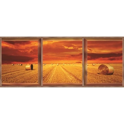 Preinterier FT0052 Fototapeta na stenu Západ slnka na poli - okno vlies 620cm x 219cm