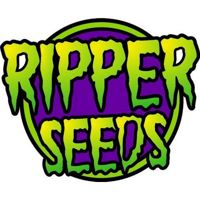 Ripper Seeds Ripper Badazz semena neobsahují THC 3 ks