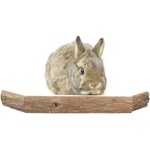 KERBL Площадка за наблюдение 26x26x4 см, Германия - 82792